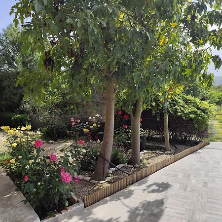 Roses Villa Trimiklini المظهر الخارجي الصورة