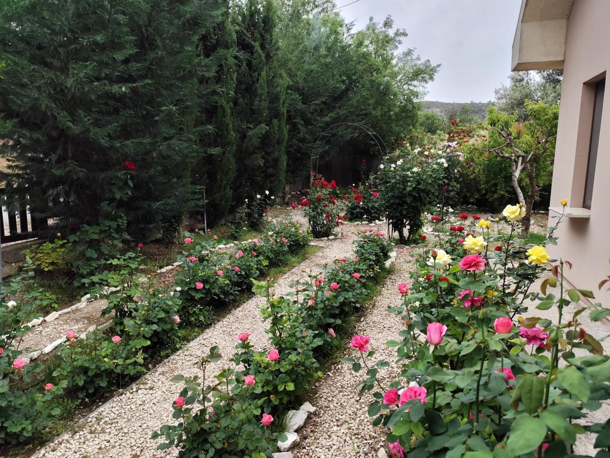 Roses Villa Trimiklini المظهر الخارجي الصورة
