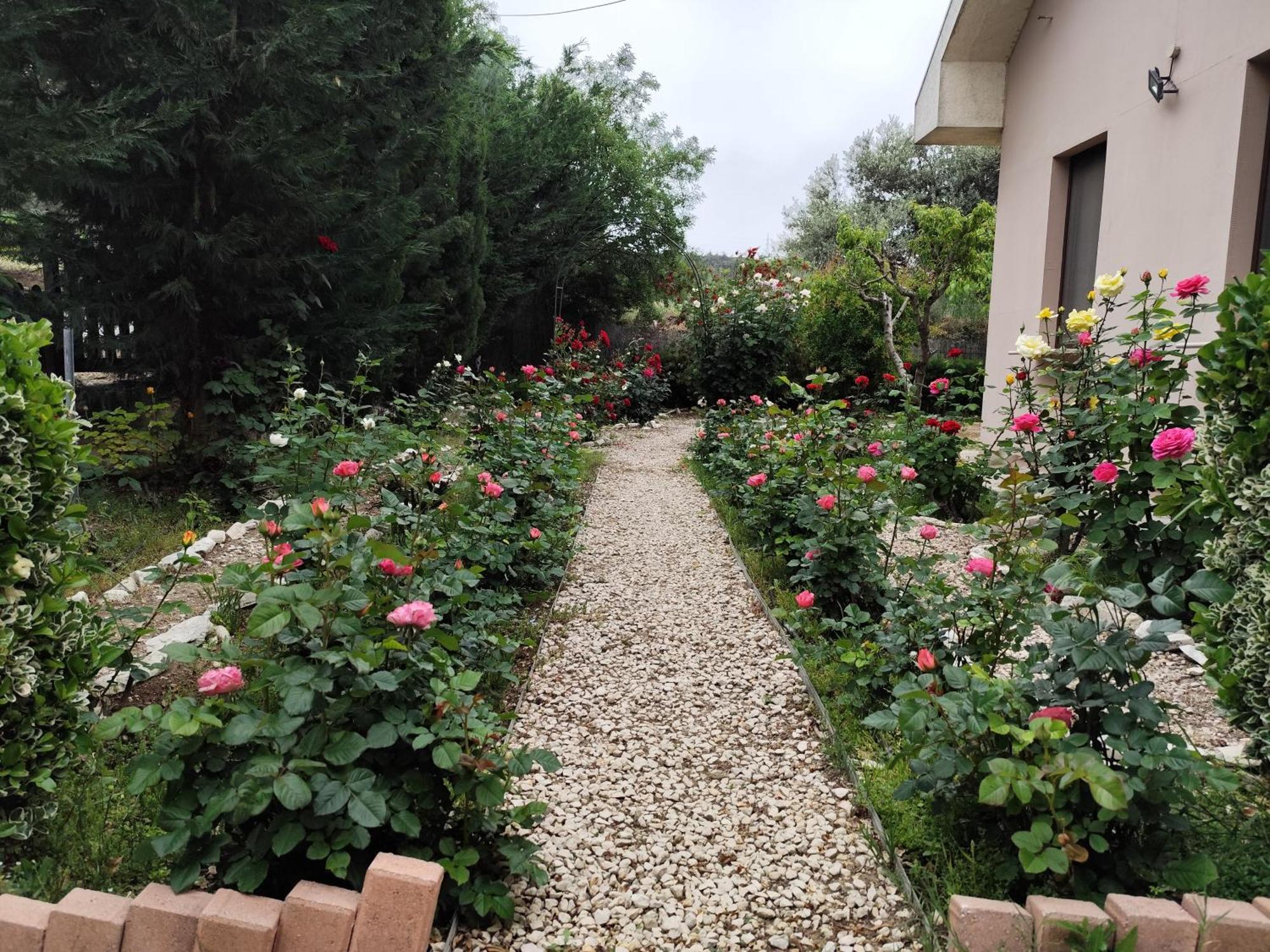 Roses Villa Trimiklini المظهر الخارجي الصورة