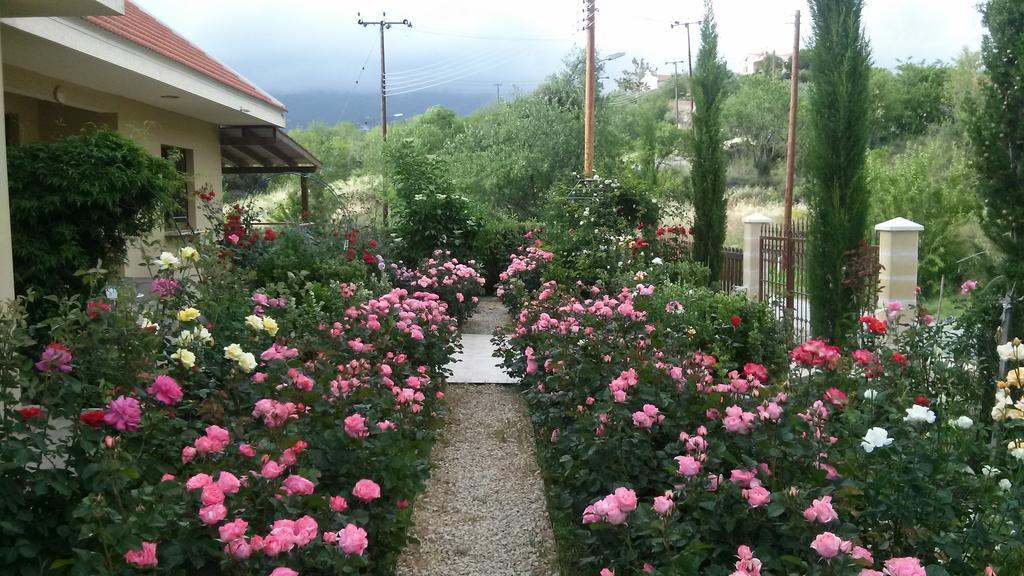 Roses Villa Trimiklini المظهر الخارجي الصورة